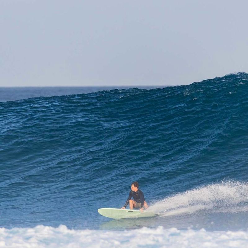 Torq Funboard Epoxy V+ 7'8 (64 L) Surfebrett - White