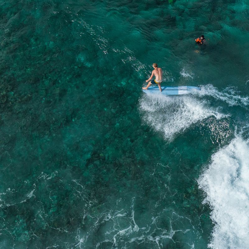 Torq Epoxy TEC - The Don XL 9'0 (81.8L) Longboard