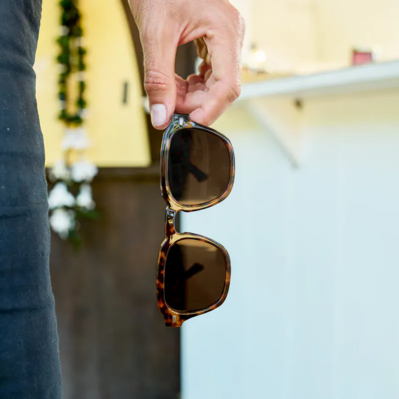 I-SEA Hudson - Tort/Brown Polarized Solbriller